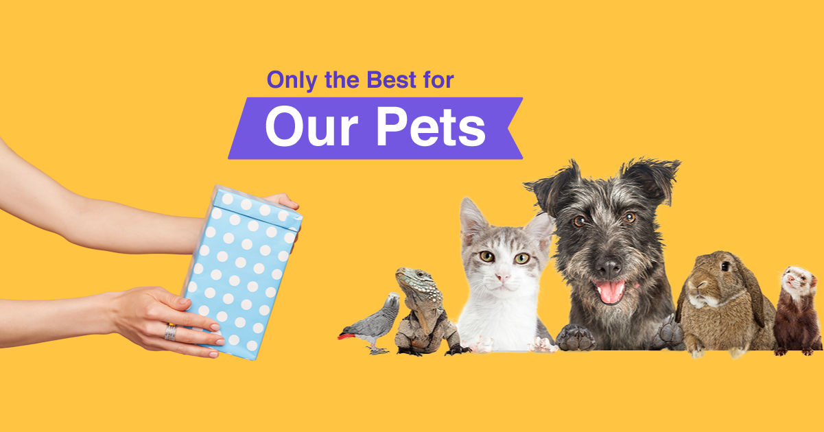 Only the best for our pets